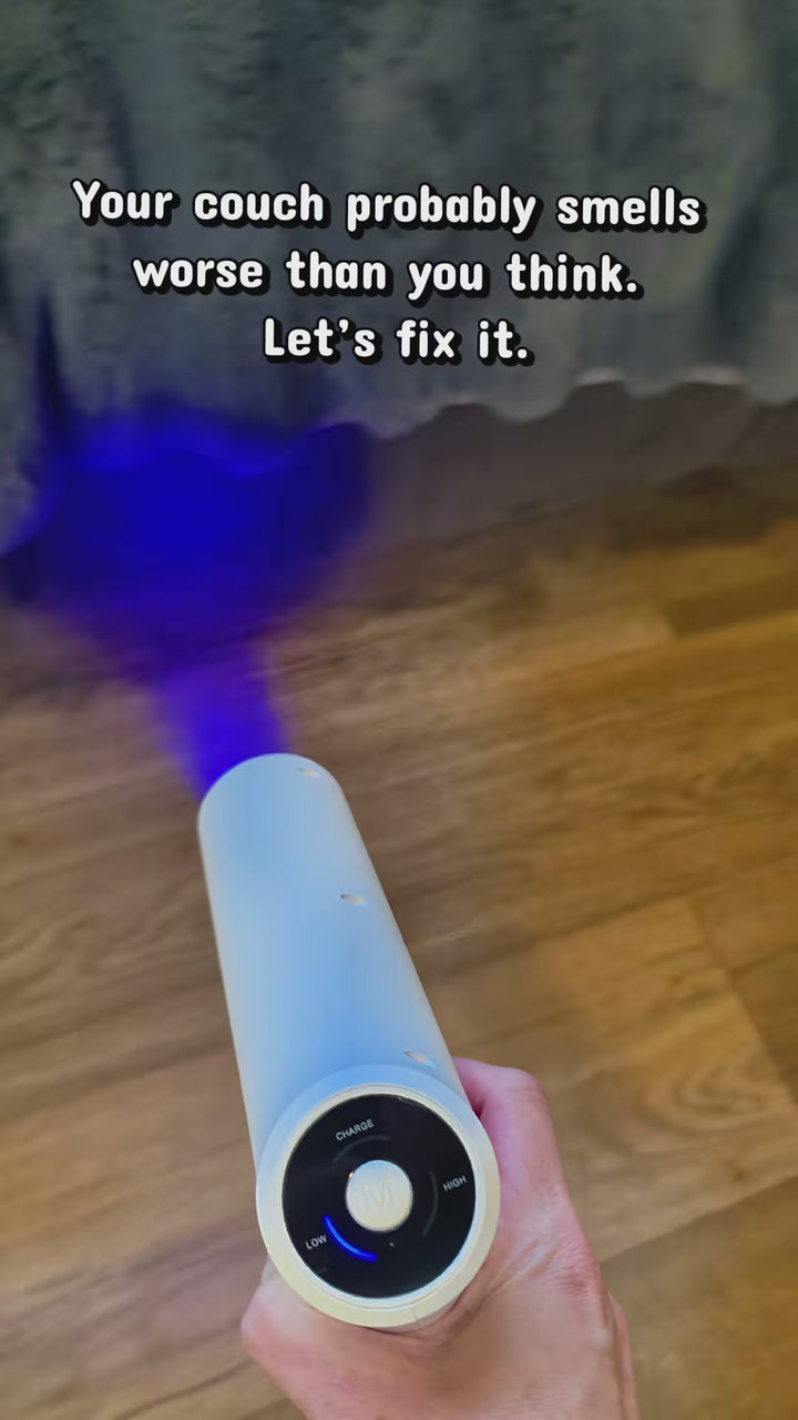 Misting a sofa and a pet bed with the nano sprayer, blue light on, dog beside it